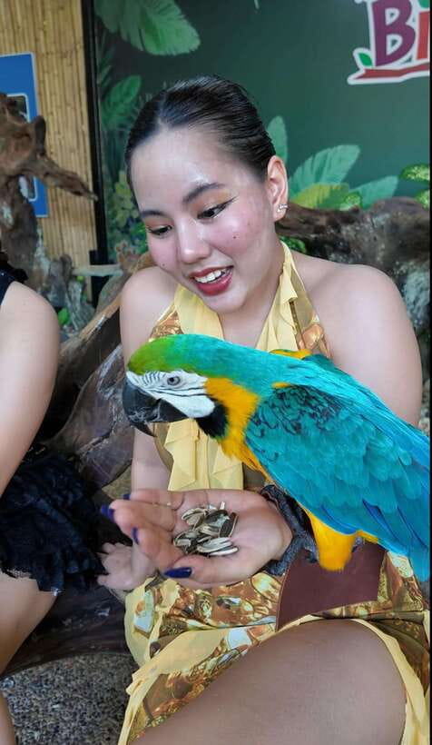 Phuket: Bird Park Entry Ticket - Feeding the birds and other animals
