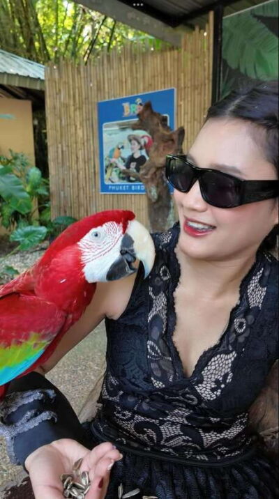Phuket: Bird Park Entry Ticket
