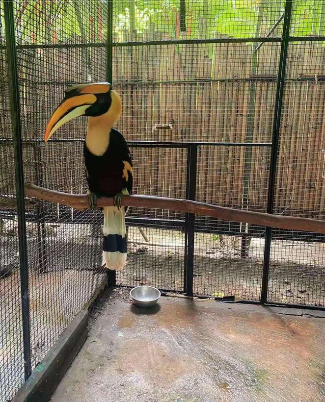 Phuket: Bird Park Entry Ticket - The photo opportunities, and their limits