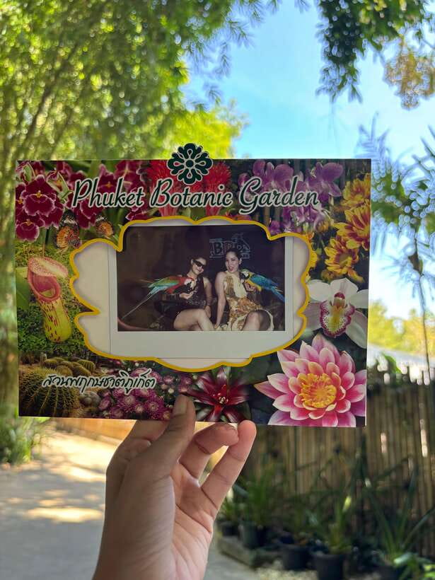 Phuket: Bird Park Entry Ticket - The animal welfare question you should consider
