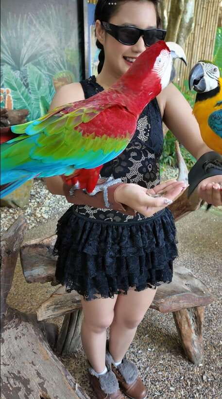 Phuket: Bird Park Entry Ticket - Is $28 a fair price?