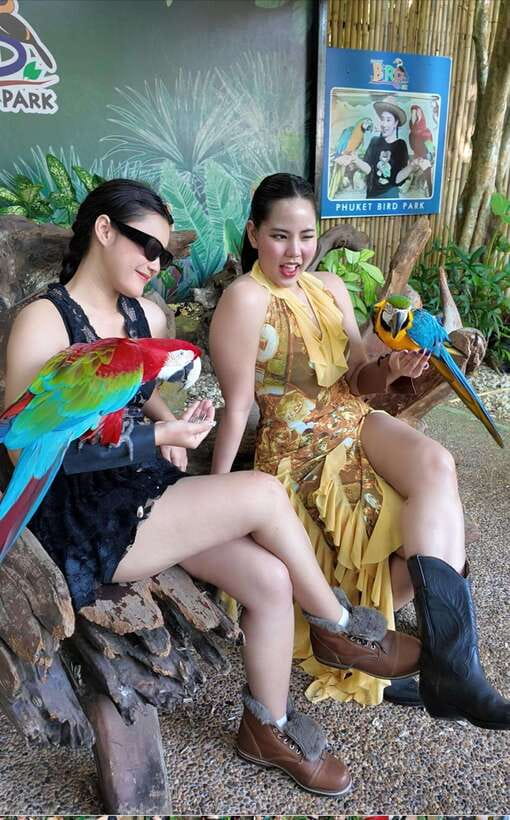 Phuket: Bird Park Entry Ticket - A note about expectations and music