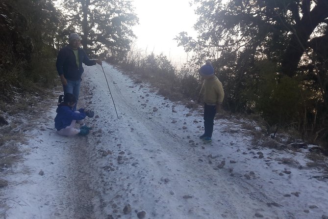 Phulchoki bird-watching tour - Lunch, the return hike, and the ride home