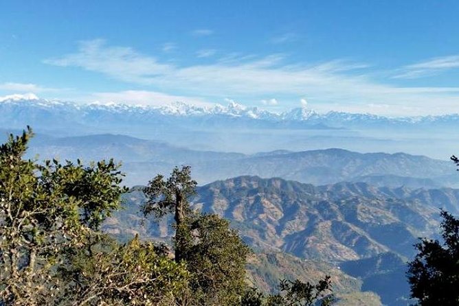 Phulchoki bird-watching tour - Is $324 a fair price?