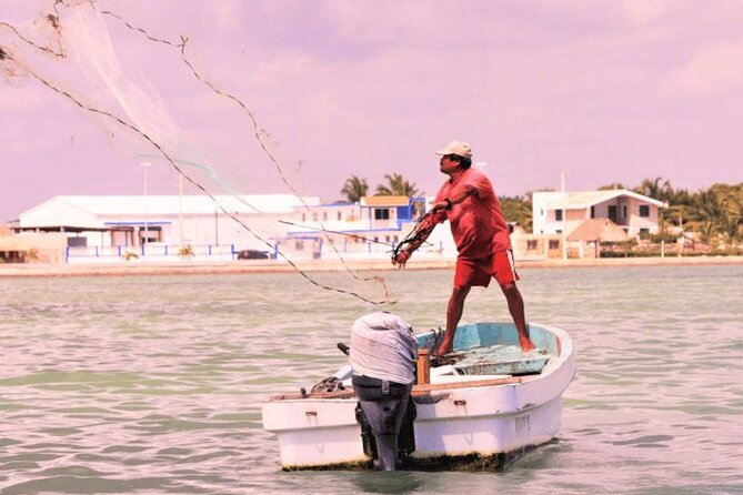 Pink Lake and Flamingo Sightseeing in Rio Lagartos - Transport is the main trade-off