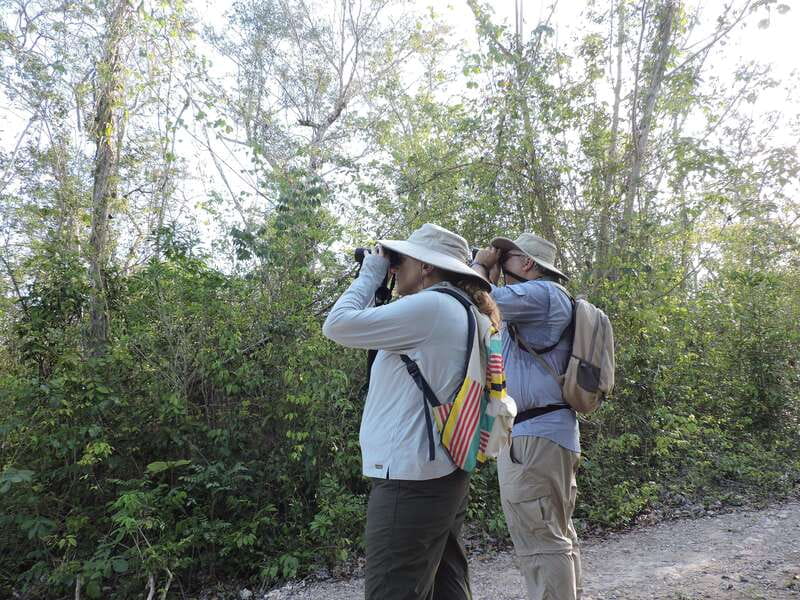 Playa del Carmen: Private Morning Birdwatching Tour - Should you book this birdwatching tour?