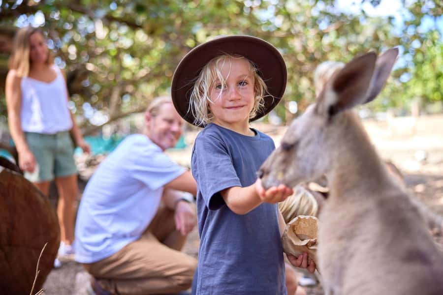 Port Douglas: Breakfast with the Birds - Key points to know before you book