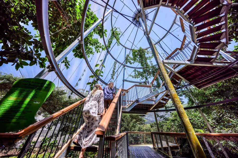 Port Douglas: Breakfast with the Birds - Breakfast at Curlew Café with birds overhead