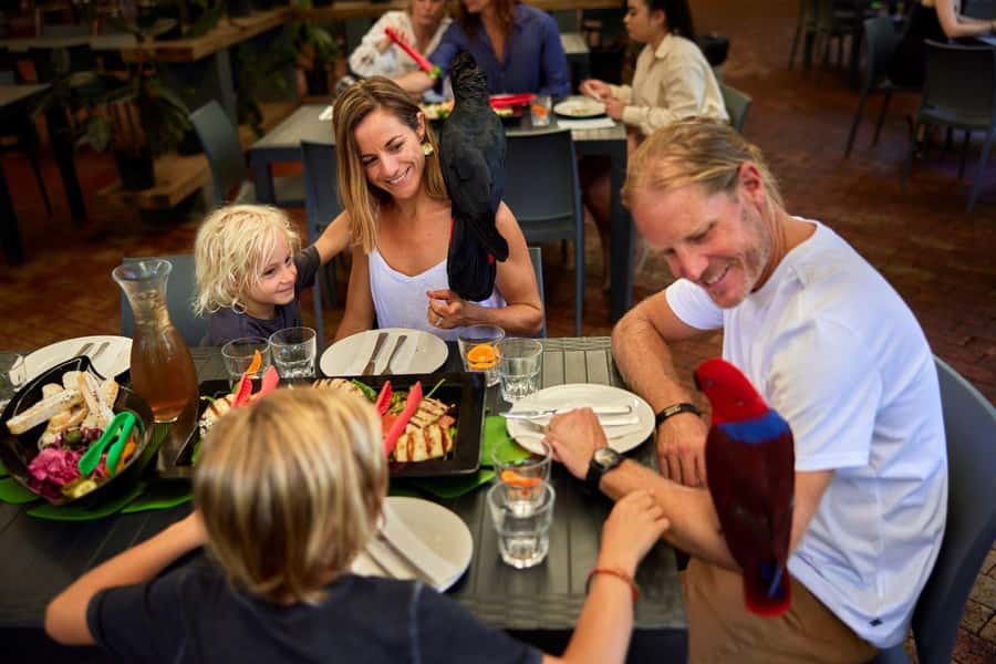 Port Douglas: Breakfast with the Birds - What the keepers add to the morning