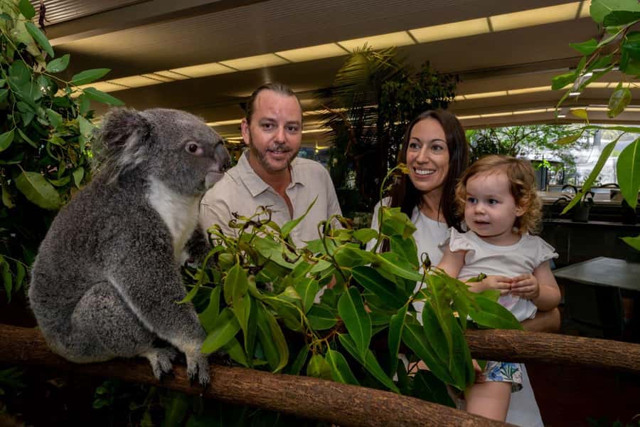Port Douglas: Breakfast with the Birds - Is the $62 price good value?