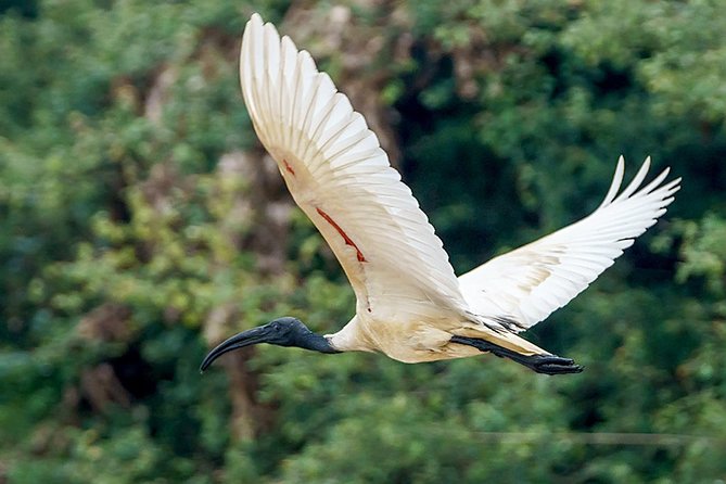Prek Toal Birds Sanctuary and floating Village Private Day Tour - Crossing Tonle Sap by private boat