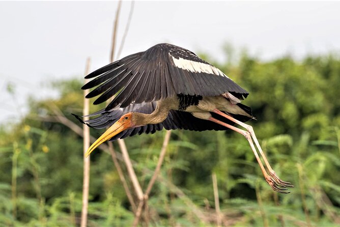 Prek Toal Birds Sanctuary and floating Village Private Day Tour - Entering the Prek Toal Bird Sanctuary