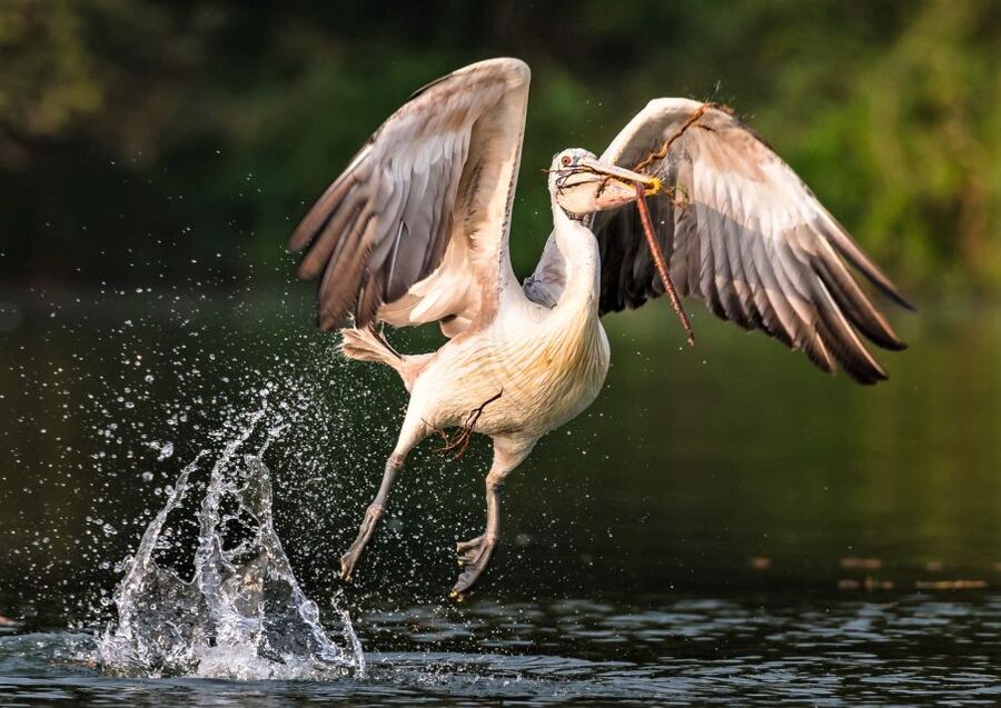 Prek Toal Birds Sanctuary & floating Village Private Tour - The return across Tonle Sap