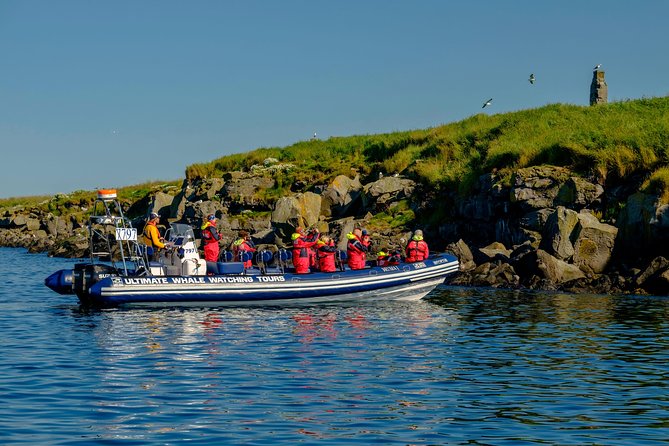 Premium Small-Group Puffin & Bird Watching tour from Reykjavík - Visiting two or three protected islands