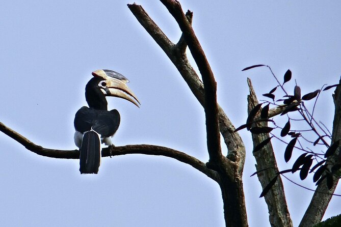 Private 3-Day Dandeli Birding Tour from Hubli - FAQ
