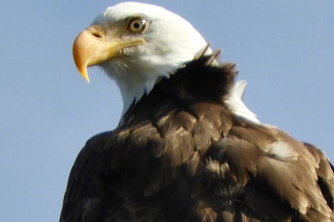 Private Birding Hike in Rocky Mountain National Park - Rocky Mountain National Park: more than a scenic backdrop