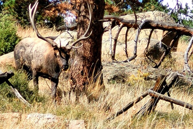 Private Birding Hike in Rocky Mountain National Park - What lunch and the nine-hour schedule mean