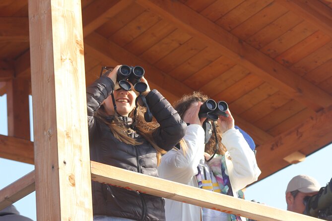 Private Birding Tour in Albania - Starting at Rinas Airport and getting into the field