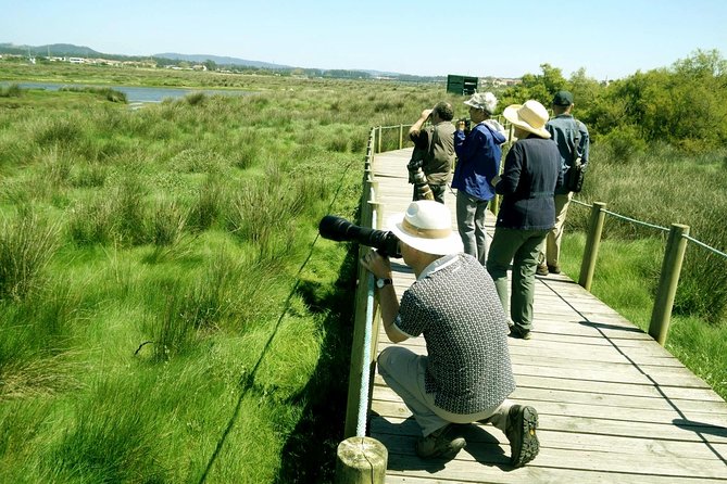 Private Birdwatching from Porto - Leaving Porto for a day in the field