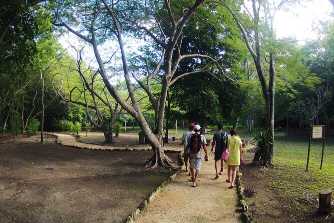 Private Birdwatching Tour in Sian Ka'an Muyil - Why this early Muyil outing is different