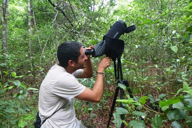 Private Birdwatching Tour in Sian Ka'an Muyil - Who will enjoy it most