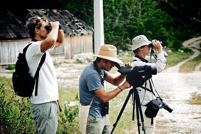 Private Birdwatching Tour in Sian Ka'an Muyil - The 6:00 am start and ride from Tulum