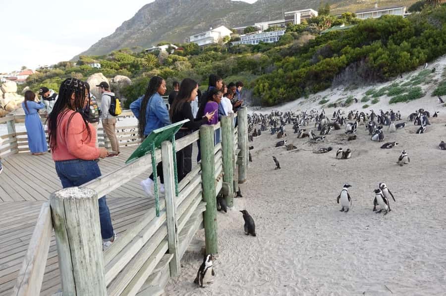Private Cape of Good Hope and Penguins Full-Day Tour - Starting in Bo-Kaap’s colorful streets