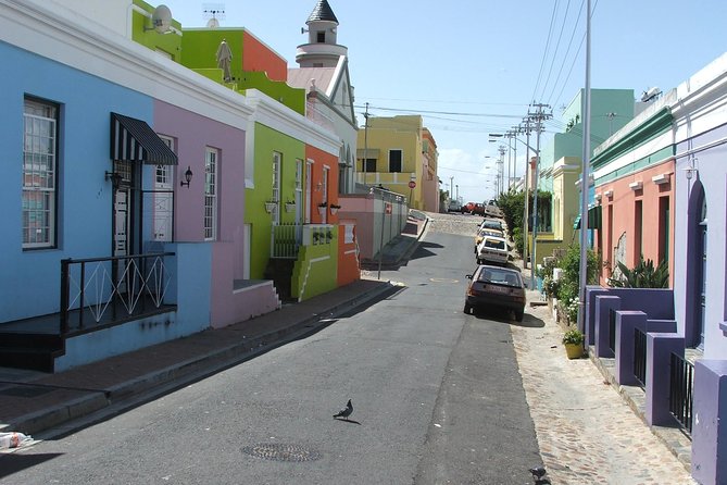 Private Cape of Good Hope and Penguins tour from Stellenbosch. - Boulders Beach and the African penguins