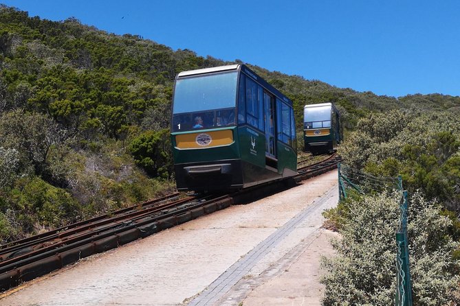 Private Cape of Good Hope and Penguins tour from Stellenbosch. - Boyes Drive and the view over Muizenberg