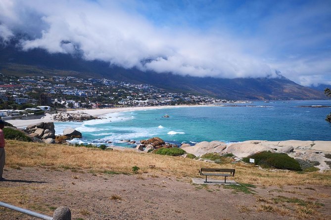 Private Cape of Good Hope and Penguins tour from Stellenbosch. - Chapman’s Peak begins the coastal show