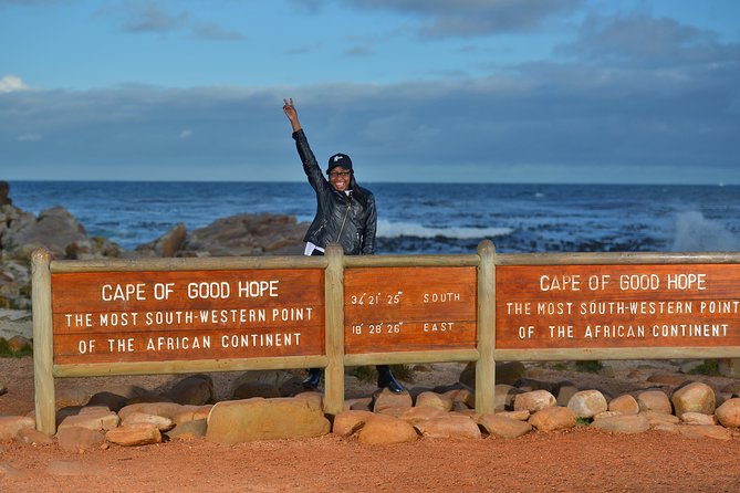 Private Cape of Good Hope and Penguins Tour with Luxury Mercedes or BMW Vehicle - A private way to see the Cape Peninsula