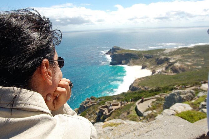 Private Cape of Good Hope and Penguins Tour with Luxury Mercedes or BMW Vehicle - Hout Bay, birds, seals, and choices