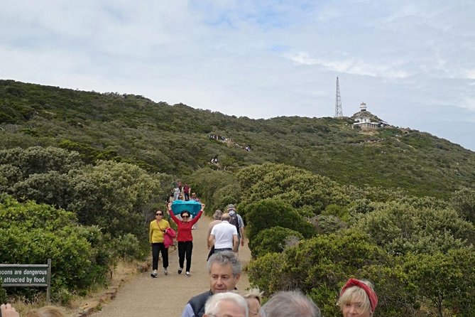 Private Cape of Good Hope Cape Point Penguin Kirstenbosch Tour. - Ostriches and the road toward Cape Point