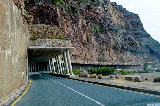 Private Cape of Good Hope Sightseeing and African Penguin Tour - Hout Bay gives you a choice: harbor time or seals