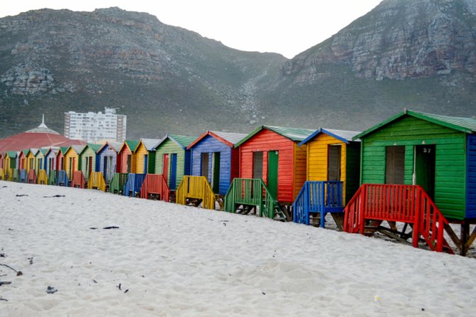 Private Cape of Good Hope Sightseeing and African Penguin Tour - Chapman’s Peak Drive is the scenic road highlight