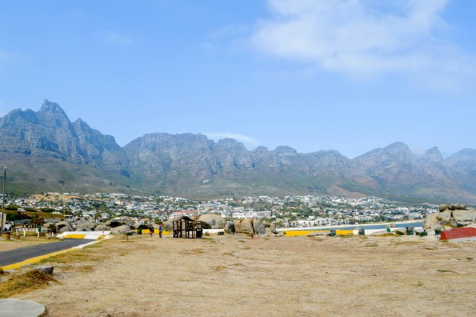 Private Cape of Good Hope Sightseeing and African Penguin Tour - Wine tasting adds a slower hour in Noordhoek