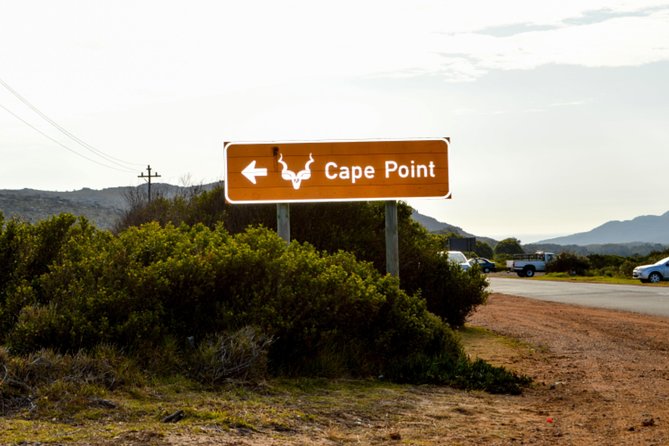 Private Cape of Good Hope Sightseeing and African Penguin Tour - Cape Point Nature Reserve needs both time and money