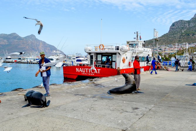 Private Cape of Good Hope Sightseeing and African Penguin Tour - The lighthouse gives you the big Cape Point view