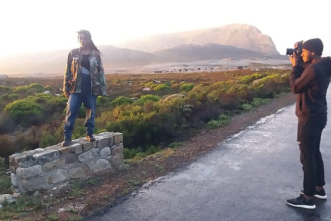Private Cape Point Penguins Tour-Exploring the Cape Peninsula F/D - One day, nearly the whole Cape Peninsula