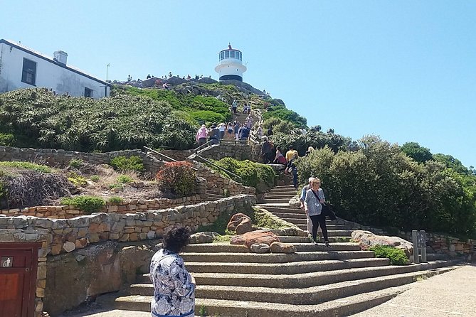 Private Cape Point Penguins Tour-Exploring the Cape Peninsula F/D - The Cape of Good Hope is more than a sign