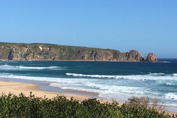 Private custom Tour of Phillip Island With Penguin Parade - The Nobbies is the best wildlife lookout before dusk