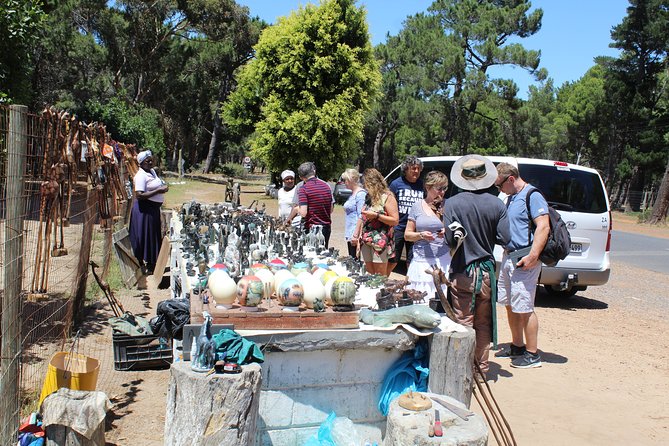 Private Day Tour to Cape of Good Hope Penguins Inc Entry Tickets from Cape Town - Why this private Cape Peninsula day works