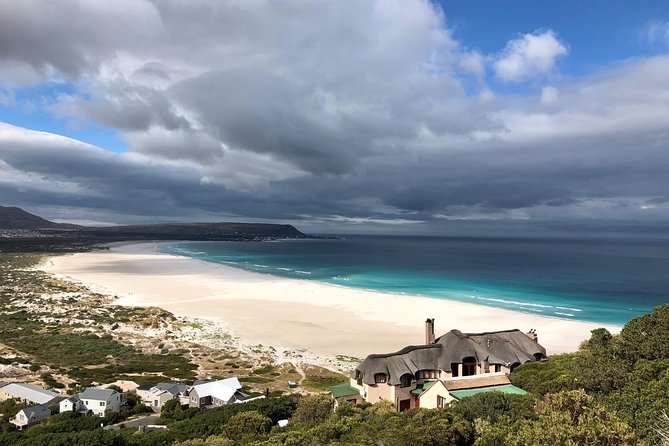 Private Day Tour to Cape Point , Penguins, Wine or Beer Tasting - Why this private Cape Peninsula tour works