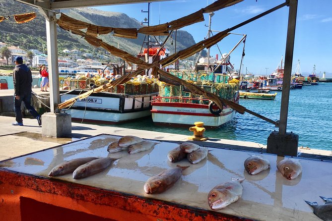 Private Day Tour to Cape Point , Penguins, Wine or Beer Tasting - Cape of Good Hope and the Cape of Storms