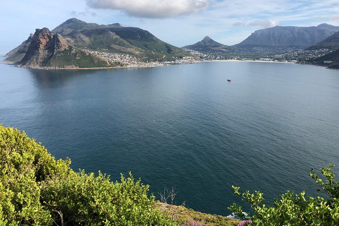 Private Day Tour to Cape Point , Penguins, Wine or Beer Tasting - The easygoing stops at Long Beach and the ostrich farm