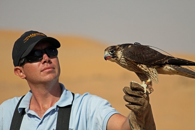 Private Falconry Experience and Nature Desert Safari in Dubai - Searching for wildlife in the conservation reserve