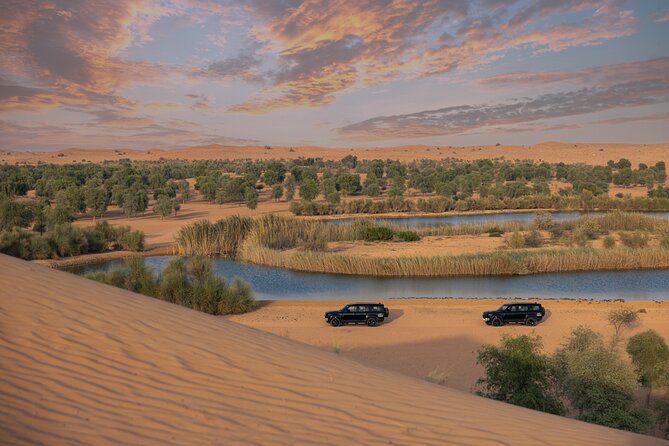 Private Falconry Experience and Nature Desert Safari in Dubai - Practical details that affect your decision