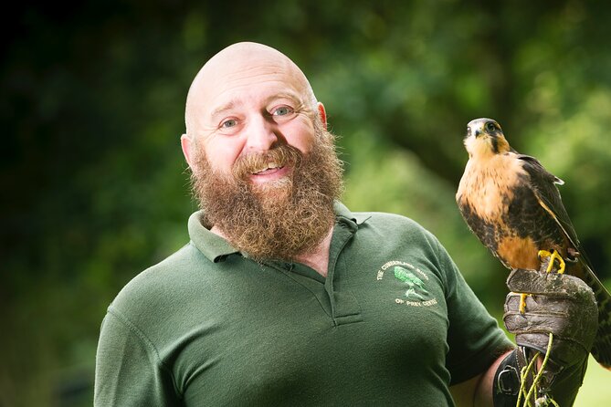 Private Family Bird of Prey Experience in Carlisle - Key points at a glance