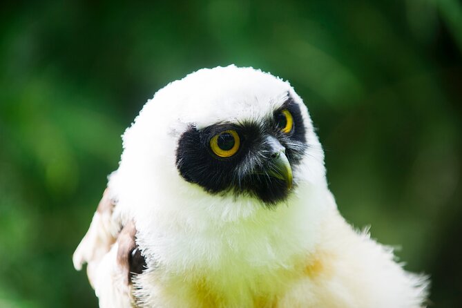 Private Family Bird of Prey Experience in Carlisle - Meeting the birds near Carlisle