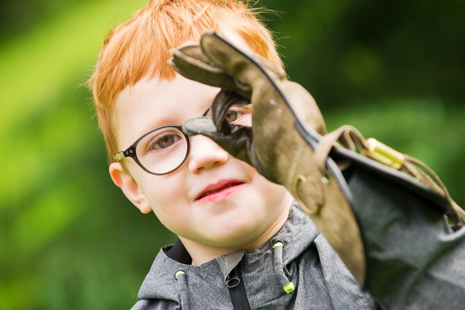 Private Family Bird of Prey Experience in Carlisle - What happens during the one-hour session